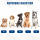 Hundebademantel mit Namen