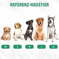 Hundebademantel mit Namen