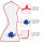 Handtuch Elefant, 50 x 100